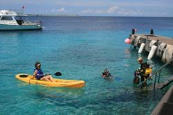 Bonaire Diving Holiday